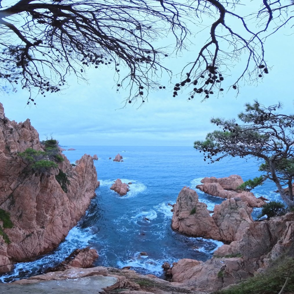 Amanecer en el acantilado