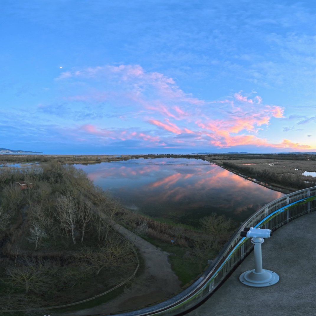 Paisaje natural inmersivo